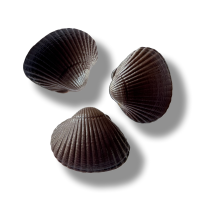 Les coques de cabourg réductions