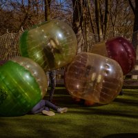 Woody Park réductions