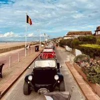 Buggy Deauville reductions