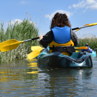la descente en rivière réductions
