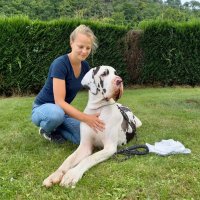 Ostéopathe pour animaux