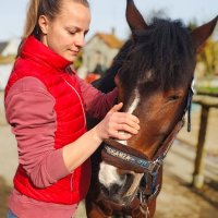 Ostéopathe pour animaux