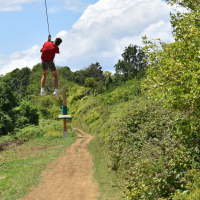 Tyroliennes réductions
