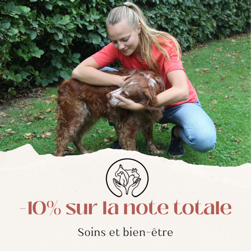 Réduction de 10% chez Camille Duyck, ostéopathe pour animaux