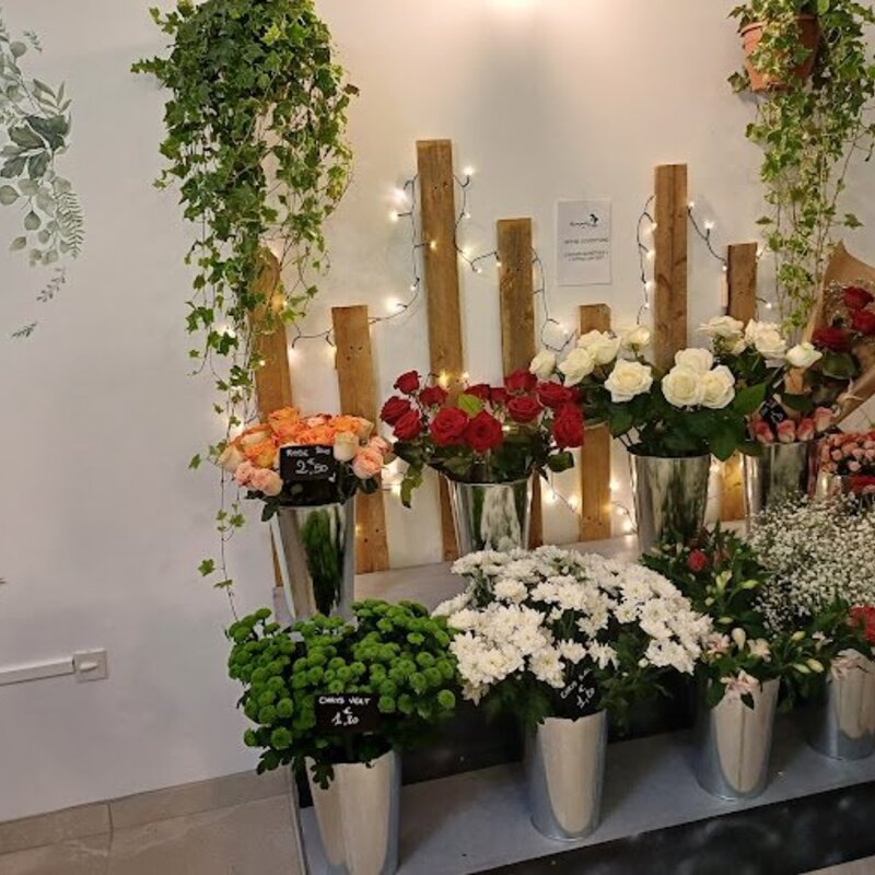 Réduction de 10% chez La Petite Jardinerie de Thaon - Réduc de Normandie - photo 1