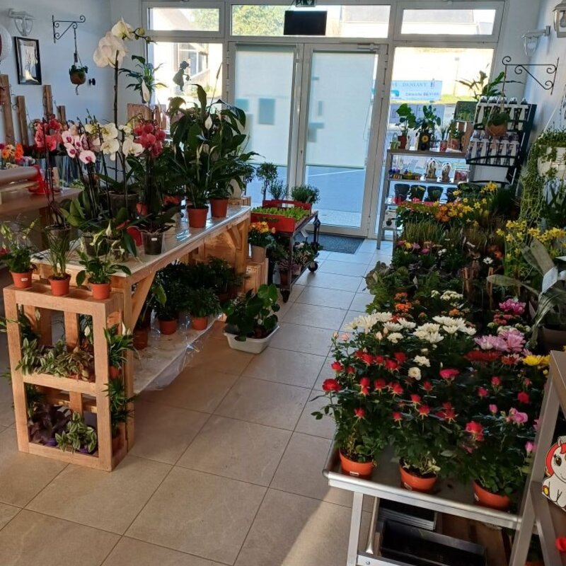 Réduction de 10% chez La Petite Jardinerie de Thaon - Réduc de Normandie - photo 2